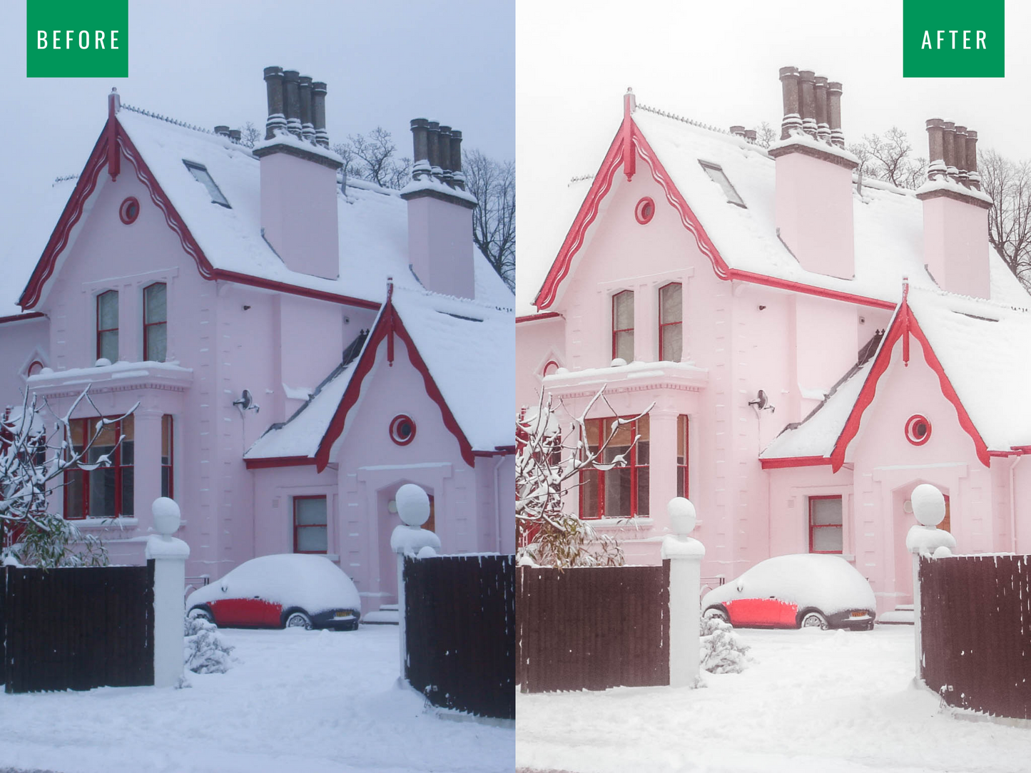 Pink Winter